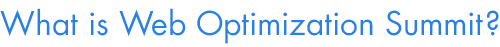 What is Web Optimization Summit 2014?